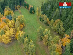 Prodej louky, Tanvald - Šumburk nad Desnou, 2029 m2