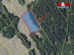 Prodej louky, Tanvald - Šumburk nad Desnou, 1444 m2