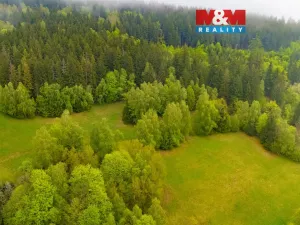 Prodej louky, Tanvald - Šumburk nad Desnou, 1444 m2