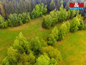 Prodej louky, Tanvald - Šumburk nad Desnou, 1444 m2
