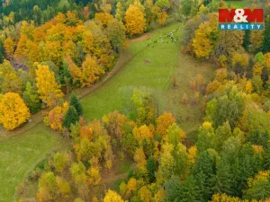 Prodej louky, Tanvald - Šumburk nad Desnou, 1589 m2