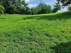 Prodej pozemku pro bydlení, Praha - Troja, Pod Havránkou, 1289 m2