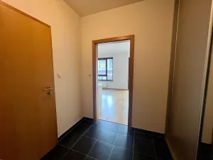 Pronájem bytu 1+kk, Praha - Žižkov, Baranova, 35 m2