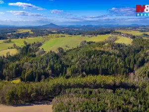 Prodej lesa, Všelibice - Přibyslavice, 23199 m2