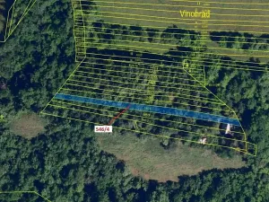 Dražba lesa, Ivančice, 507 m2