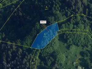 Dražba lesa, Český Dub, 1217 m2