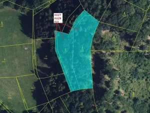 Dražba lesa, Vranová Lhota, 3744 m2