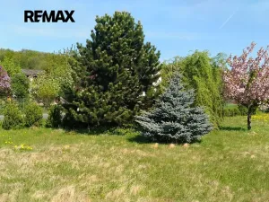 Prodej zahrady, Mikulovice, 1350 m2