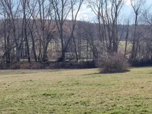 Prodej podílu louky, Podluhy, 1240 m2