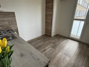 Pronájem bytu 3+1, Frýdek-Místek, Zahradní, 67 m2