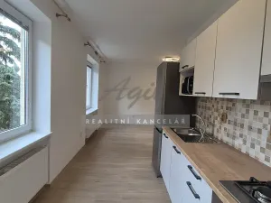 Pronájem bytu 2+kk, Šlapanice, 59 m2