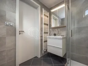 Pronájem bytu 1+kk, Praha - Chodov, Švabinského, 25 m2