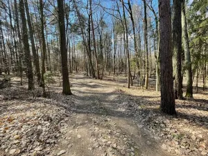 Prodej pozemku pro bydlení, Morašice, 870 m2