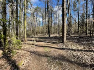 Prodej pozemku pro bydlení, Morašice, 870 m2