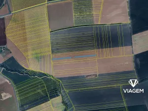 Prodej podílu pole, Nivnice, 1494 m2