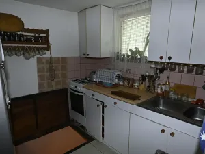 Dražba - jiné, Znojmo, 110 m2