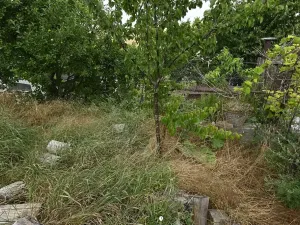 Dražba - jiné, Znojmo, 110 m2