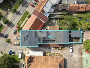 Prodej obchodního prostoru, Újezd u Brna, Nádražní, 901 m2