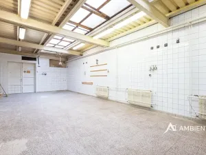 Prodej obchodního prostoru, Újezd u Brna, Nádražní, 901 m2