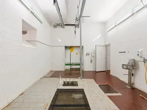 Prodej obchodního prostoru, Milíkov, 420 m2