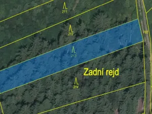 Prodej lesa, Kolinec - Buršice, 1299 m2