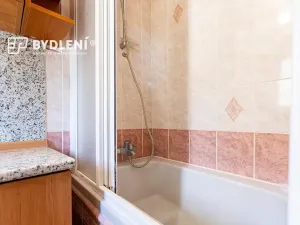 Prodej bytu 1+kk, Ústí nad Labem, Elišky Krásnohorské, 25 m2