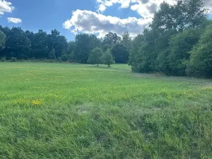 Prodej pozemku pro bydlení, Albrechtice nad Vltavou, 5665 m2