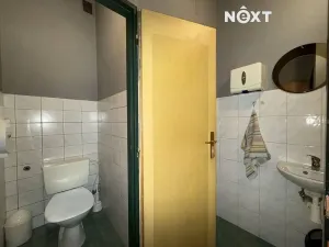 Pronájem obchodního prostoru, Vrchlabí, Krkonošská, 100 m2