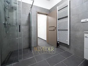 Pronájem bytu 3+kk, Teplice, Pražská, 51 m2