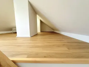 Prodej bytu 2+kk, Praha - Karlín, Kollárova, 67 m2