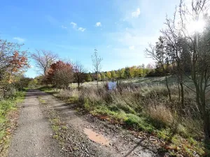 Prodej pozemku pro bydlení, Daleké Dušníky, 1217 m2