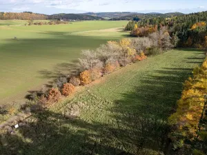 Prodej pozemku pro bydlení, Daleké Dušníky, 1217 m2