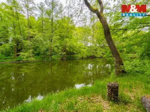 Prodej chaty, Plavsko, 30 m2