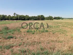 Prodej pole, Moravský Písek, 1243 m2