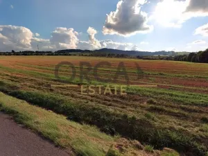 Prodej pole, Strážov, 5812 m2