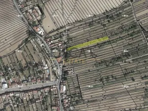 Prodej sadu/vinice, Hýsly, 1503 m2