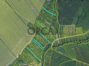 Prodej pole, Březolupy, 17736 m2