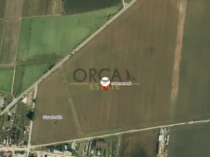 Prodej pole, Strachotín, 1904 m2