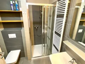 Pronájem bytu 1+kk, Brno, Přadlácká, 31 m2