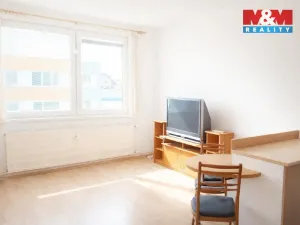 Pronájem bytu 1+kk, Strakonice - Strakonice I, Mlýnská, 26 m2