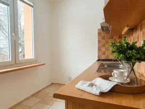 Prodej bytu 1+1, Turnov, Přepeřská, 35 m2