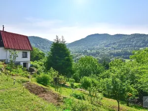 Prodej chaty, Dolní Zálezly, 37 m2