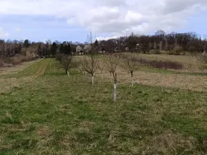 Prodej zahrady, Uherský Brod, 899 m2