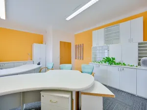 Pronájem kanceláře, Olomouc, Zámečnická, 18 m2