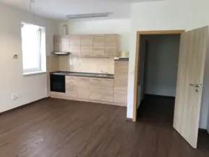 Pronájem bytu 1+kk, Jihlava, F. X. Šaldy, 38 m2
