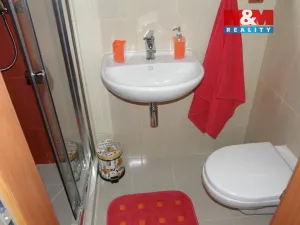 Pronájem bytu 1+kk, Příbor, nábřeží Rudoarmějců, 20 m2