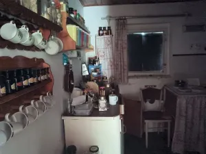 Prodej chaty, Lešany, 120 m2