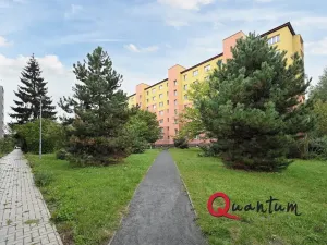 Pronájem bytu 2+1, Praha - Záběhlice, Sasanková, 58 m2