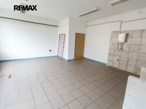 Prodej obchodního prostoru, Město Albrechtice, Míru, 1427 m2