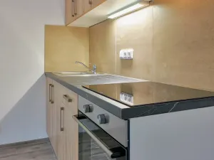 Pronájem bytu 1+kk, Plzeň, Železniční, 50 m2